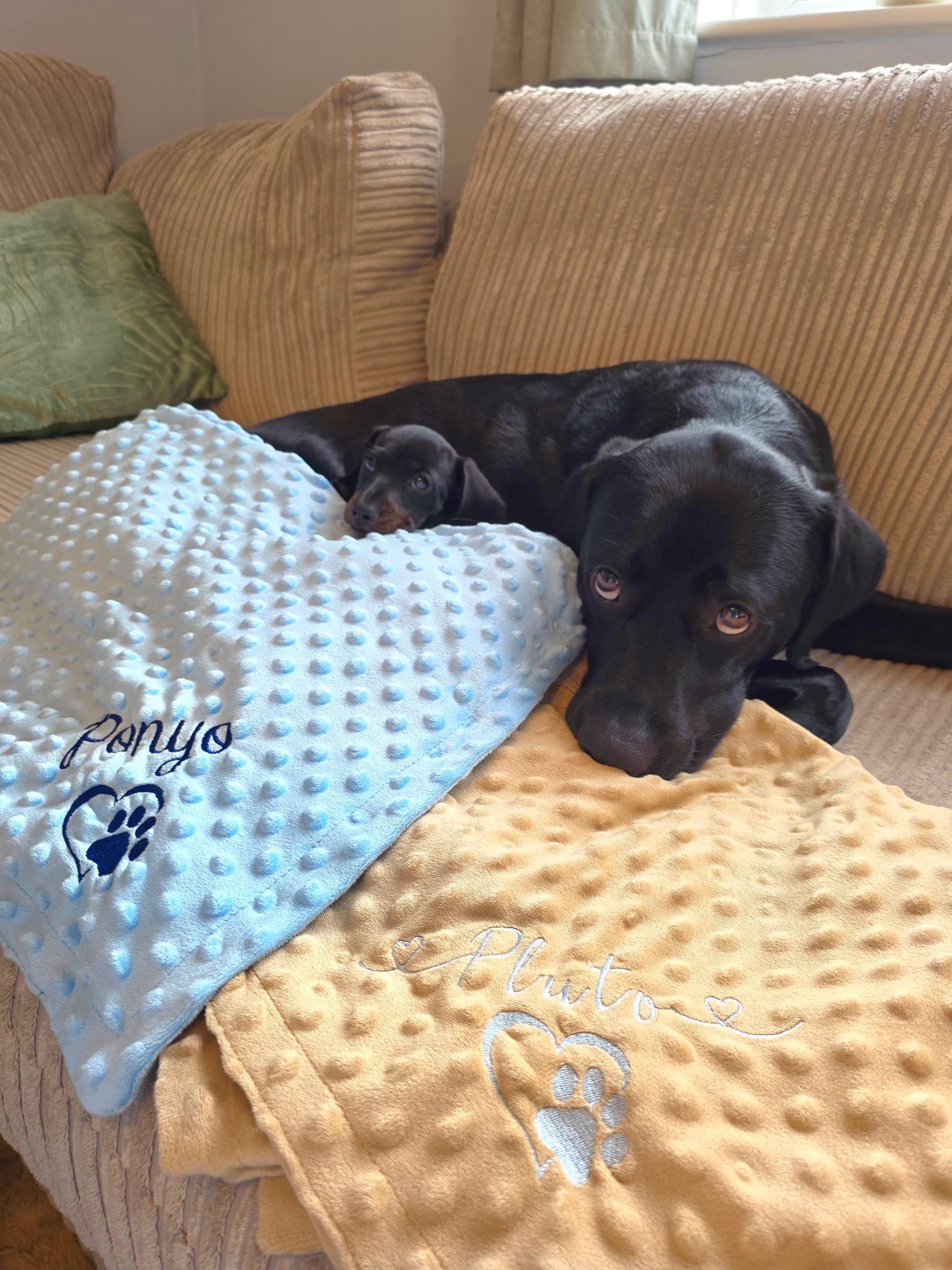 Cosy personalised pet blanket for a dog or cat