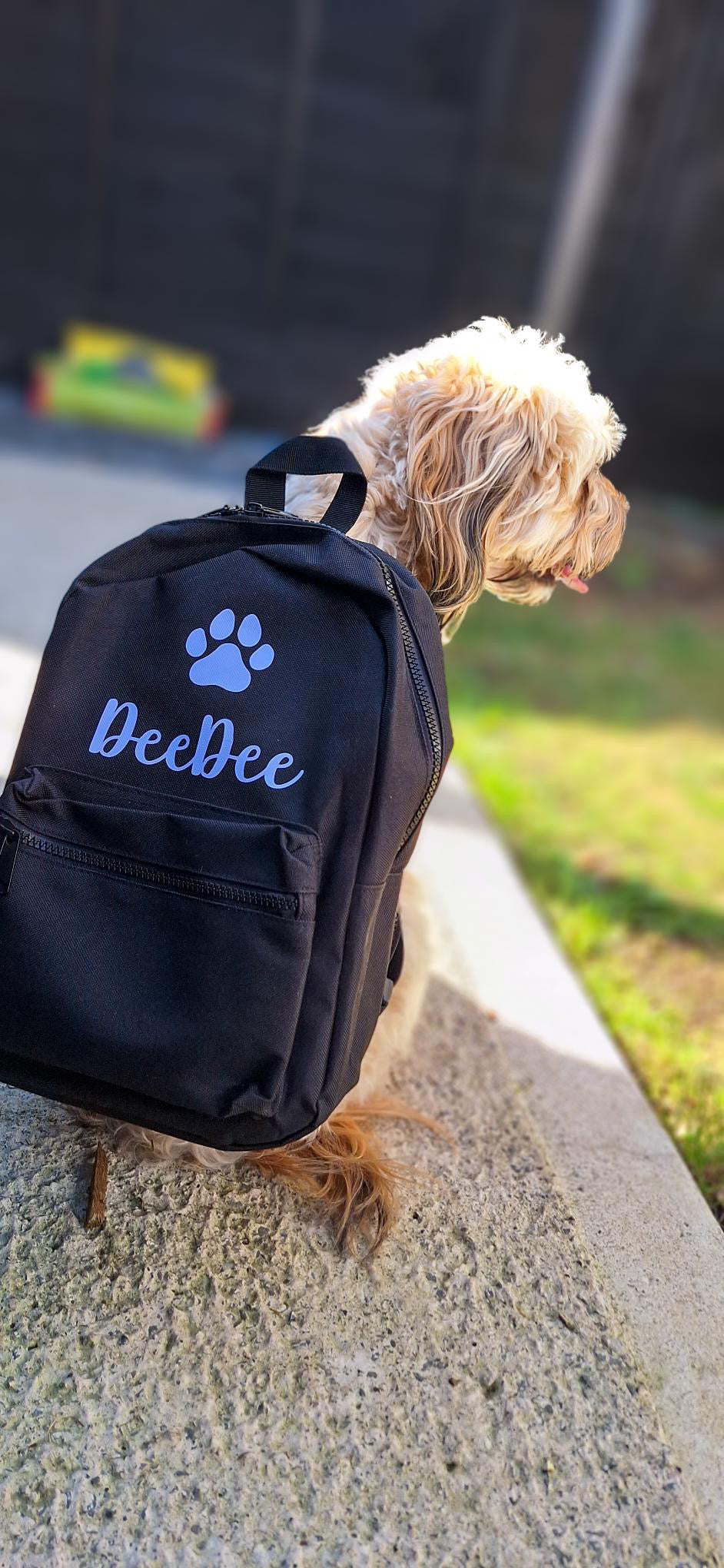 Dog beside a personalised pet mini backpack