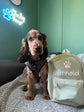 Personalised pet mini backpack with custom name and paw print