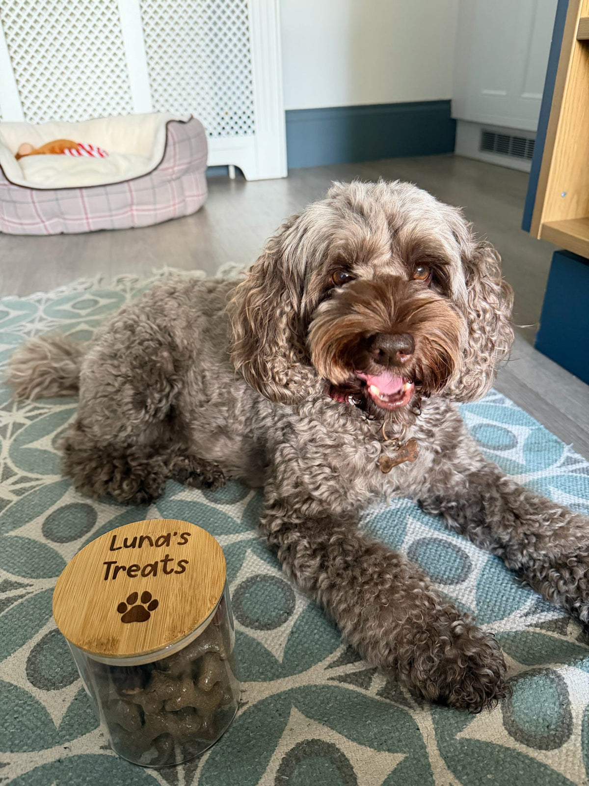 Personalised glass pet treat jar with an engraved wooden lid customised with a pet's name.