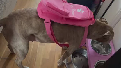 Personalised Pet Mini Backpacks