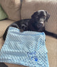Close-up of embroidered name on personalised pet blanket
