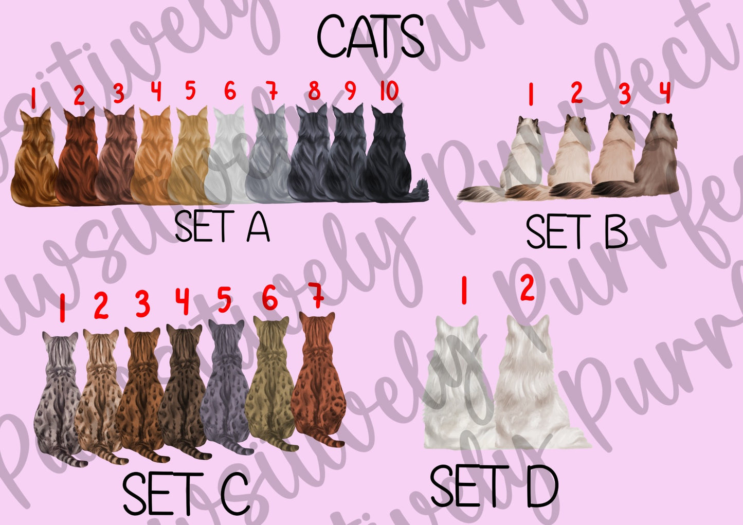 Custom Family Design | Personalised Pet Gifts For Humans