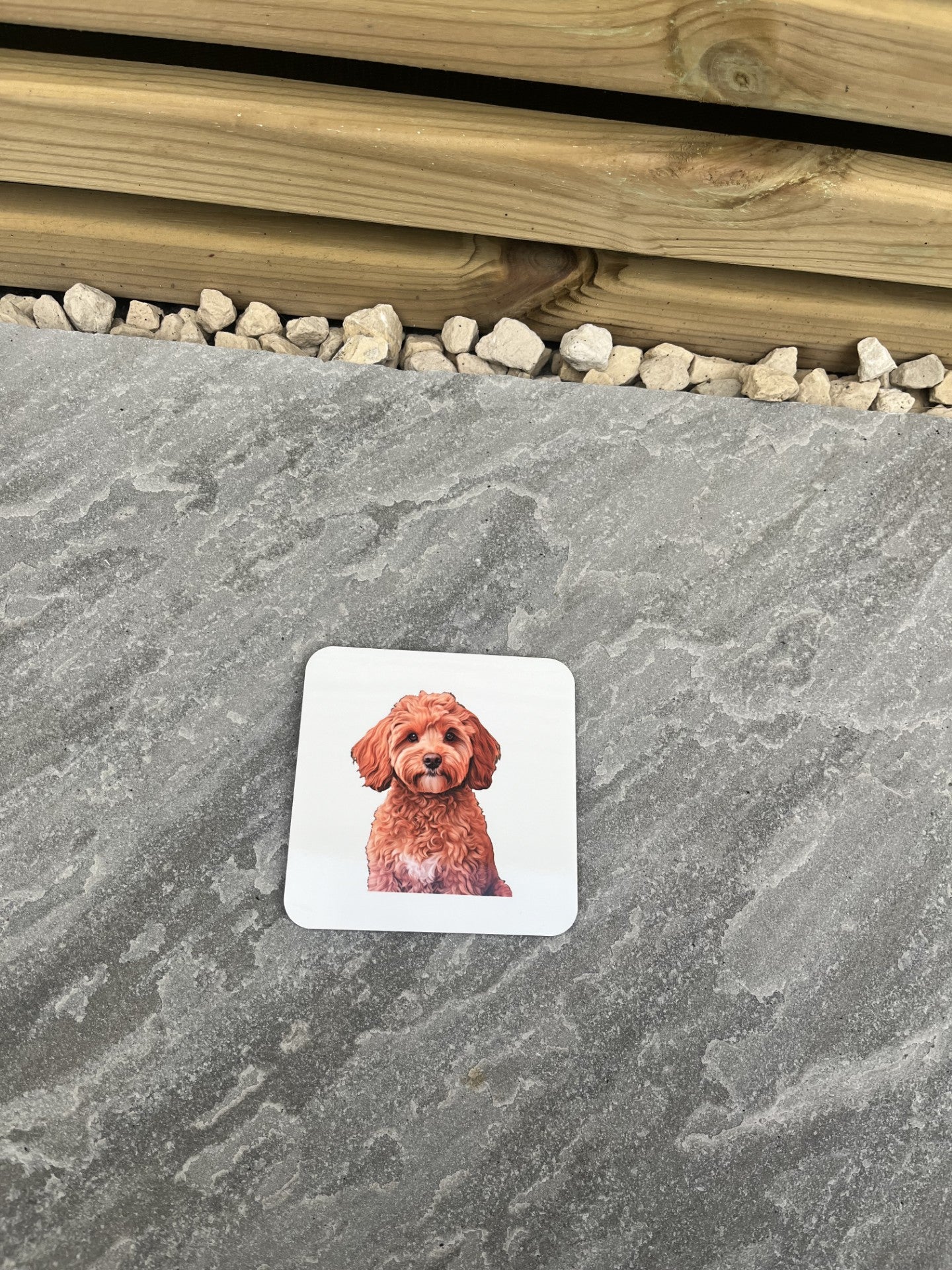 Pet Themed Cork Backed Coasters- Personalised - Pawsitively Purrfect