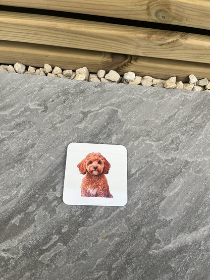 Pet Themed Cork Backed Coasters- Personalised - Pawsitively Purrfect
