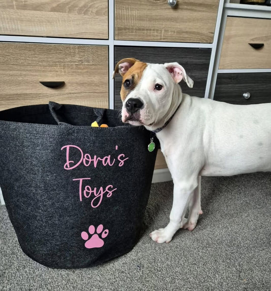 Dog standing next to a black toy storage bin with 'Dora's Toys' written on it, in a room with wooden furniture.